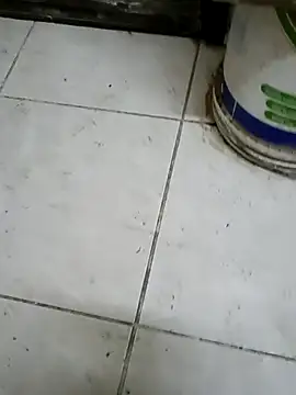 ConvoyedSubgroup Adlı Modelin Web Kamerası Şovu