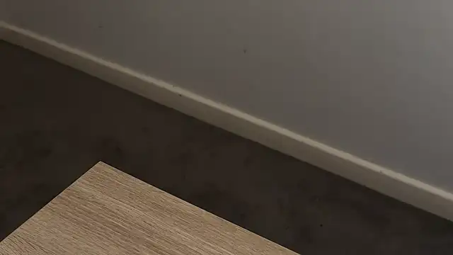 Show de adelaide2026 na webcam