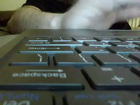 FROL83's Live XXX Chat