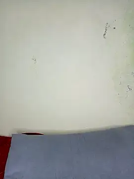 Eva_love26n Webbikameraesitys