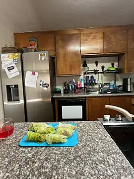 Show webcam de fatfabulous1981