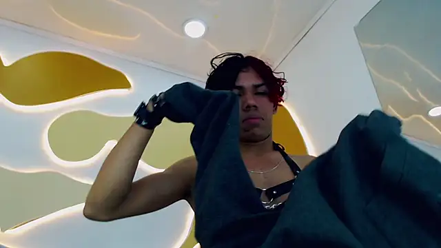 DaviidBuckx_ Webcam-Show