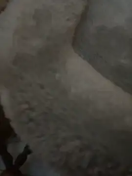 nickytheehawtie Adlı Modelin Canlı XXX Sohbeti