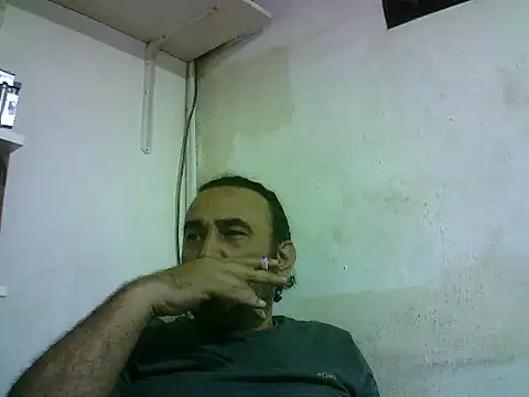 enginbasar Webcam show