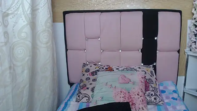 عرض كام palmer_mIix