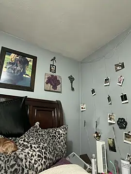 sweetkacibaby ওয়েবক্যাম শো