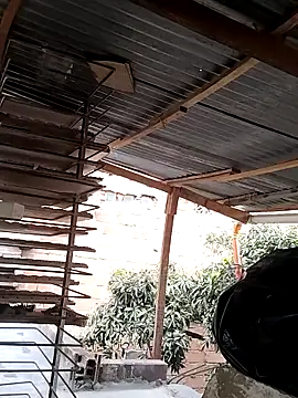 hoteder 现场XXX聊天