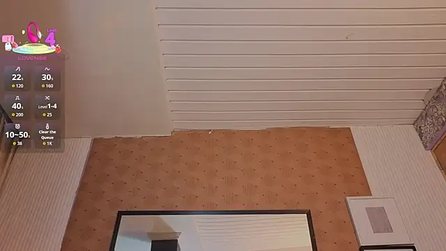 slim_tian 웹캠 쇼