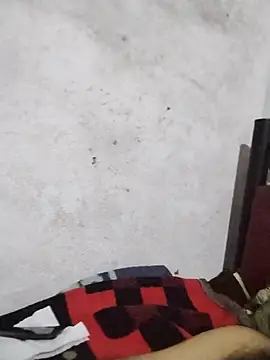 salimbasha Pertunjukan Webcam