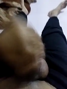 Sambox979 webcam show