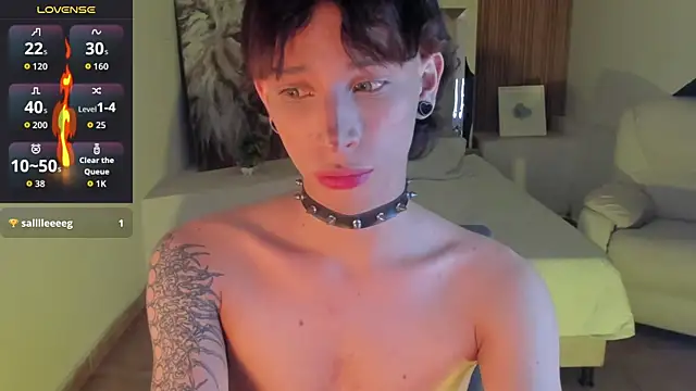 Show de webcam de AndyWiilliams