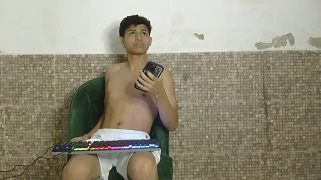 Show modela AetherVox na web-kameri