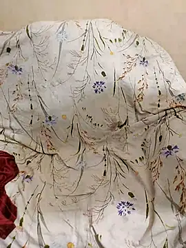 snwflk's Webcam Show