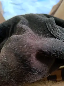 Živý XXX chat _Stripchat_Owner_