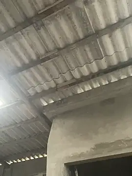 Chat +18 de meganmeo ao vivo