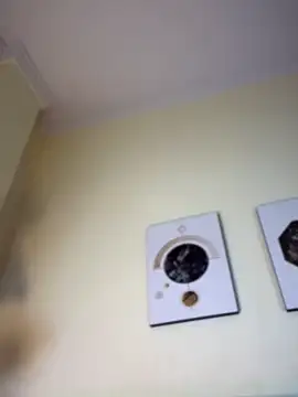 LeylaKnox Live XXX-chat