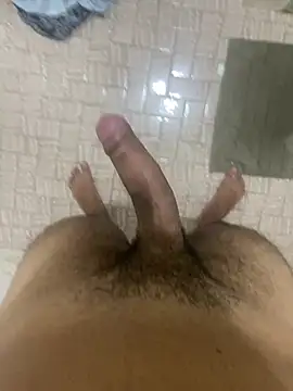 patexis Webcam Show