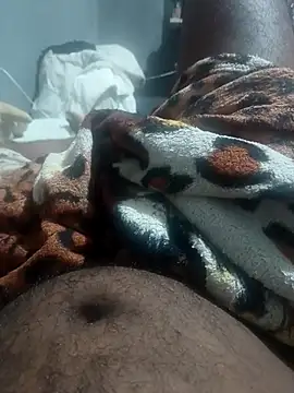 Pertunjukan Kamera Web Mailsonp