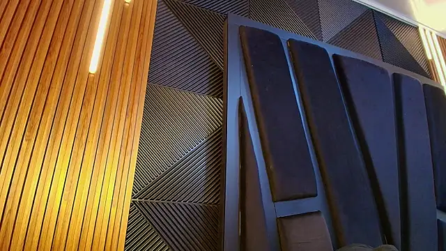 Oliver_Laurent_ webcam show