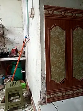 Pertunjukan Kamera Web aiai220