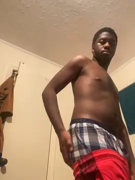 ThickDic28 网络视讯表演