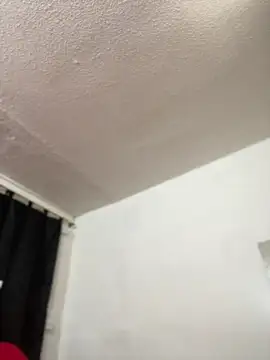 AlanaBrunetteX_Xn Webbikameraesitys