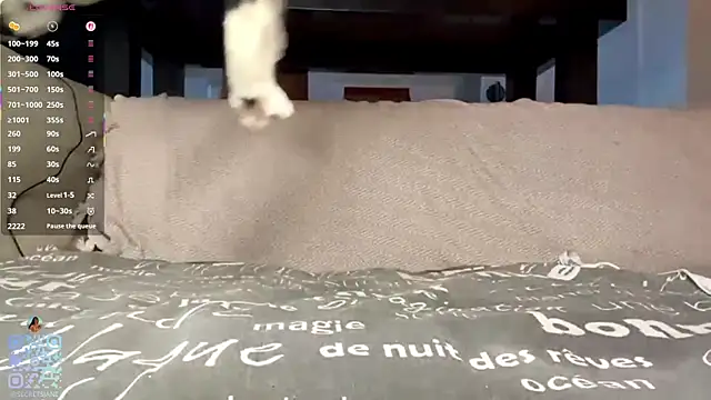 SweetSakuraJane – Live XXX-chat