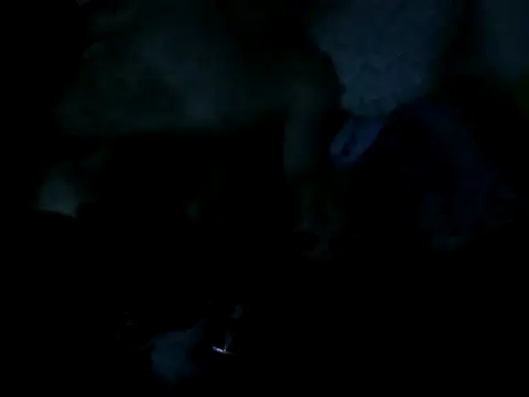 cabecaoegreluda Pertunjukan Webcam