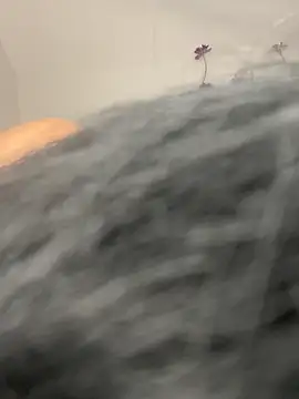 แชท XXX สดของ Tina8088