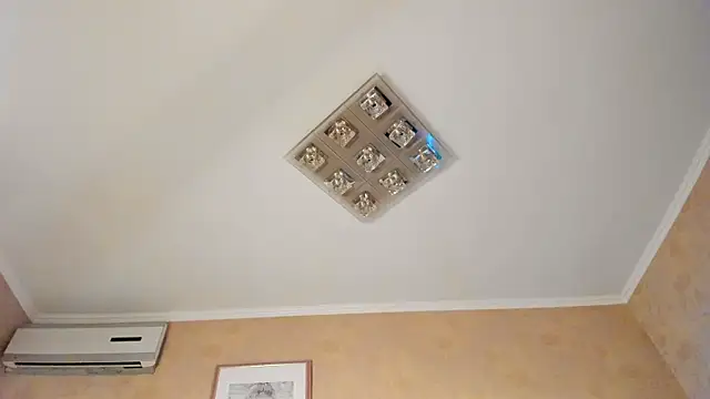 Diamond_D_'s Live XXX Chat