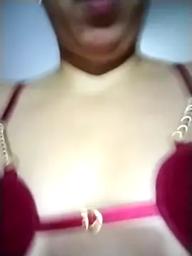 Cristal_Security-1 Webcam-Show