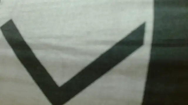 Chat +18 de ChicoMaloFfF ao vivo