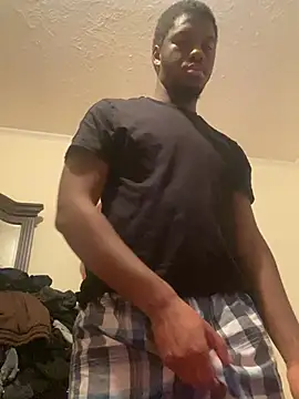 ThickDic28 Webcam show