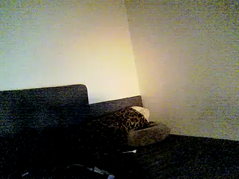 SirNefastus Webcam show