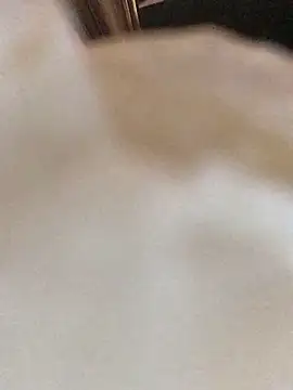 fuckerplayer1 网络视讯表演