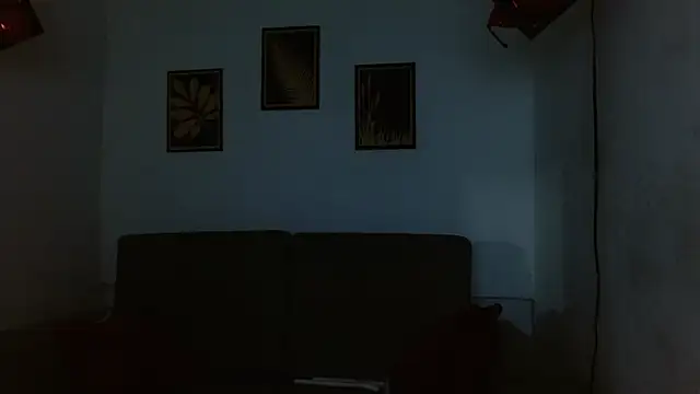 drake_laconten Webbikameraesitys