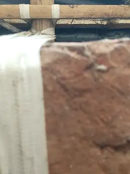 ThethunderPo's Webcam Show