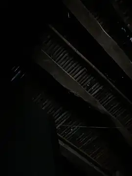 Nika--Nika 网络视讯表演