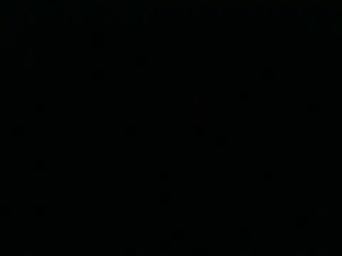 Tigerhill2023 Pertunjukan Webcam