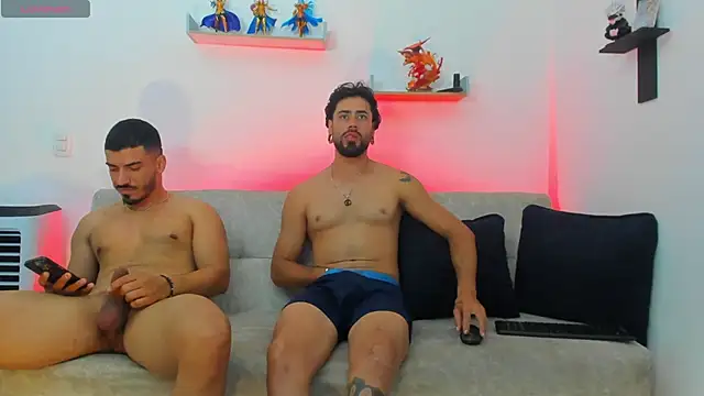 heteros_curious 라이브 XXX 채팅