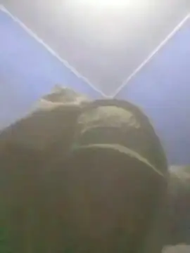 S7LEALTADPERVLIMA7: απευθείας συνομιλία ΧΧΧ