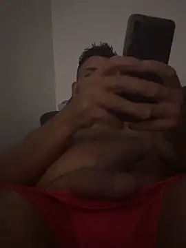 Show de webcam de adgato