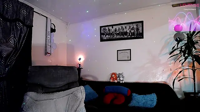 Show Webcam de tiancam