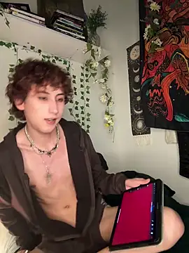 Show Webcam de noynxz