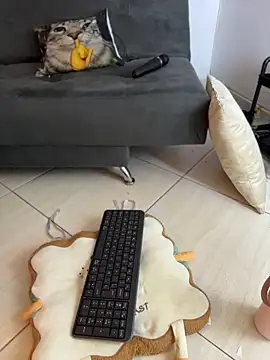 Chat XXX ao vivo de HinaSweet