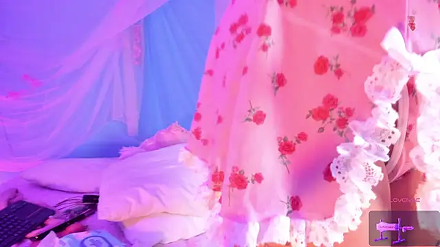 Show modela sar4haa na web-kameri