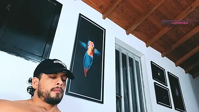 SilvaBrankon Webbikameraesitys