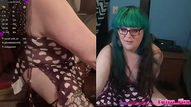 Tetra_Firen Webbikameraesitys