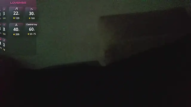 canarito18n Webbikameraesitys