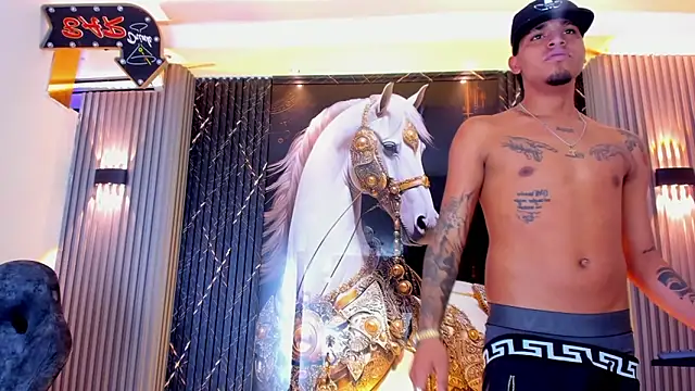 عرض كام the_knights_of_the_night_